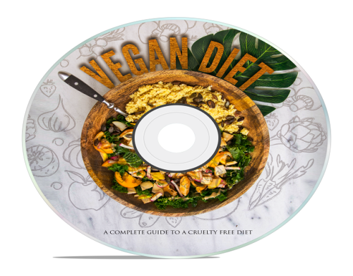 how to start a vegan lifestyle