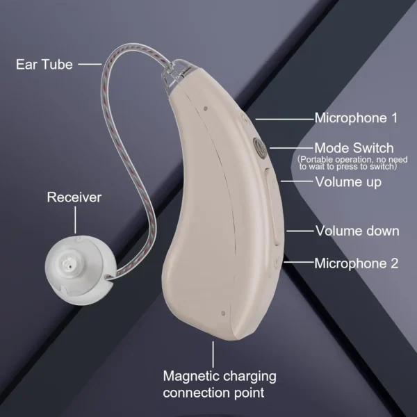Rechargeable16-channel digital Ric mini invisible suitable for severe hearing loss hearing aid with intelligent noise reduction