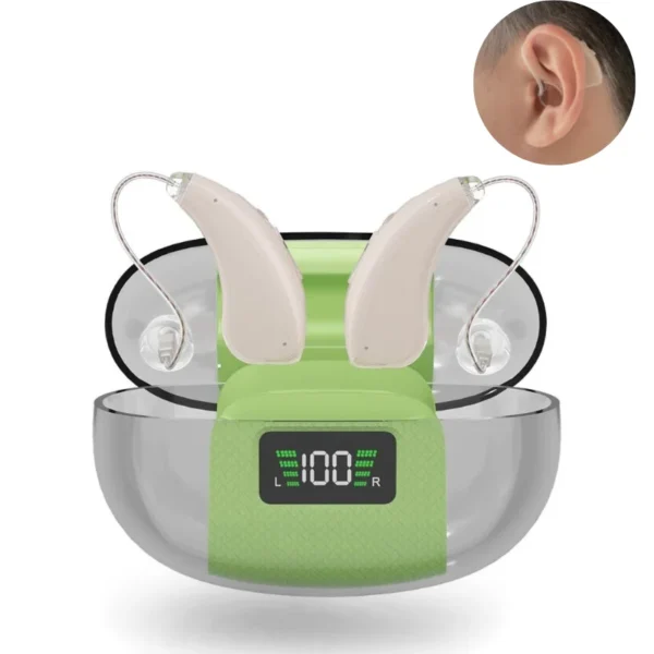 Rechargeable16-channel digital Ric mini invisible suitable for severe hearing loss hearing aid with intelligent noise reduction