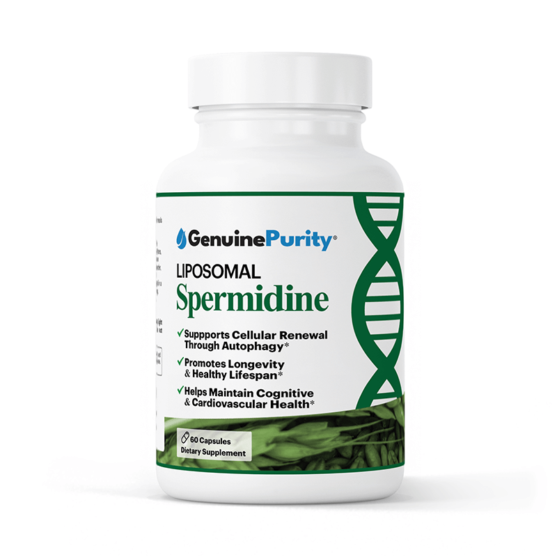 Spermidine